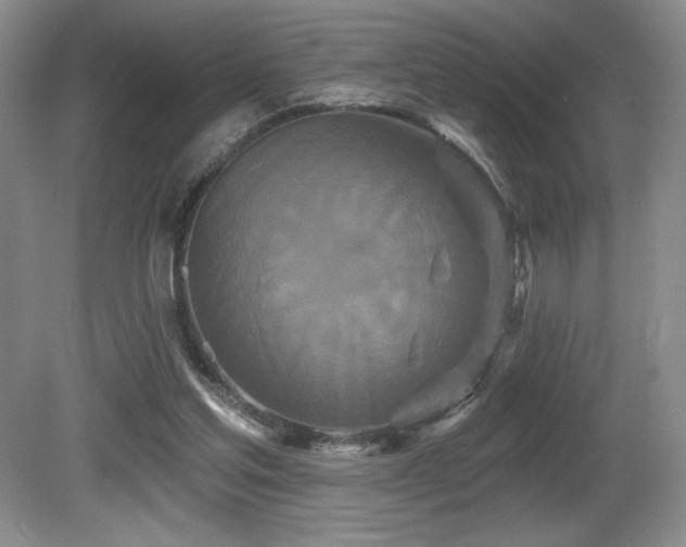 X0000081620205200701151440
