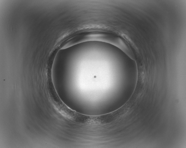 X0000081620207200701151440