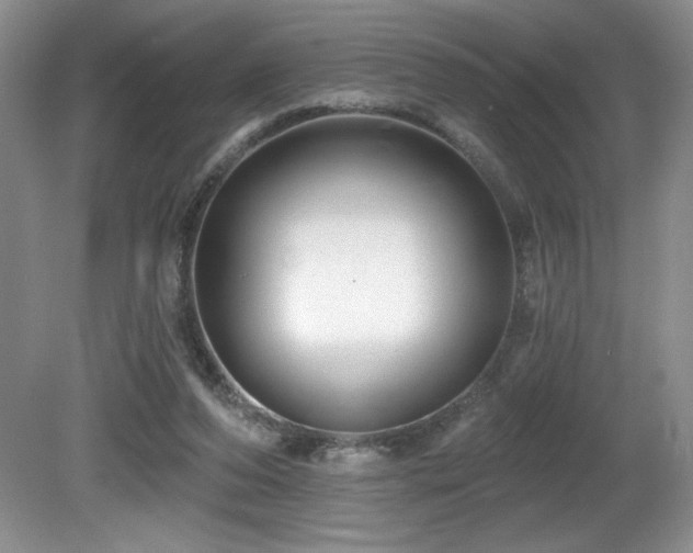 X0000081620208200701151440