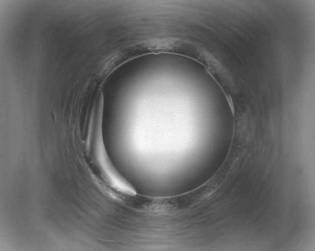 X0000081620209200701151440