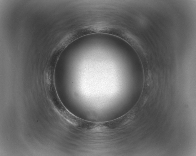 X0000081620210200701151440