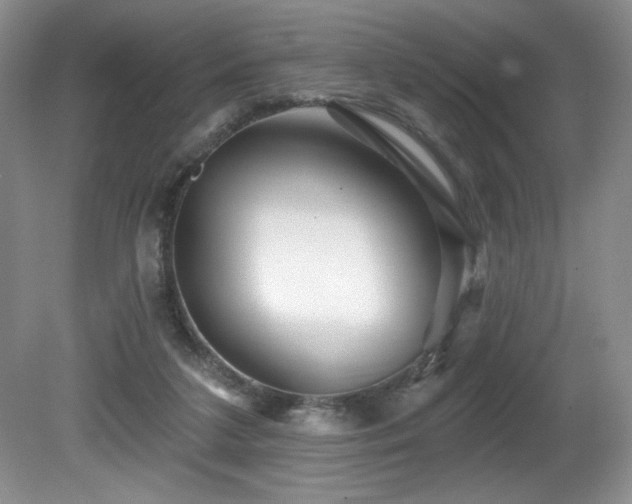 X0000081620211200701151440