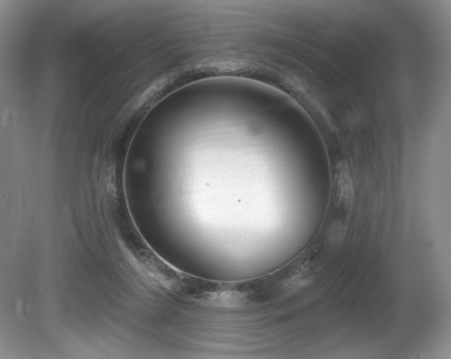 X0000081620212200701151440