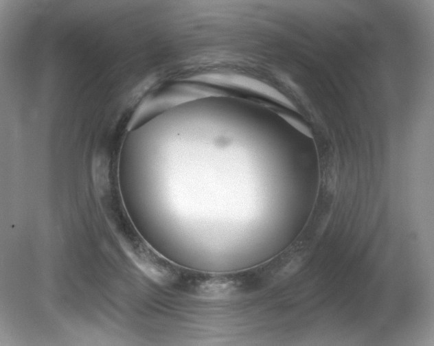 X0000081620213200701151440