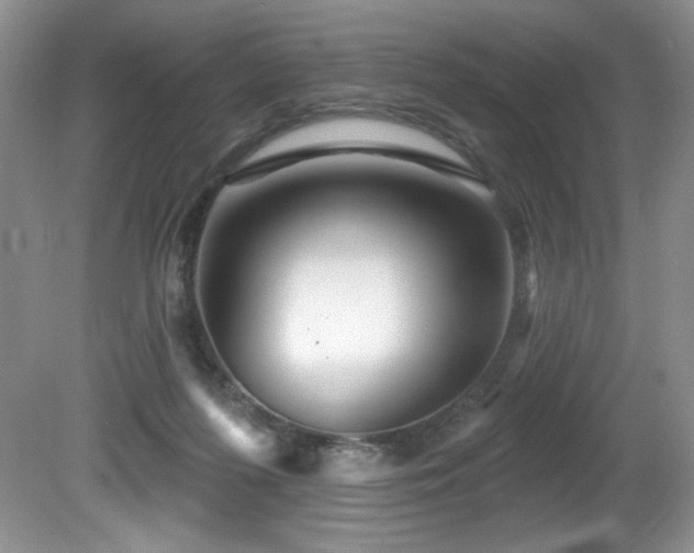 X0000081620215200701151440
