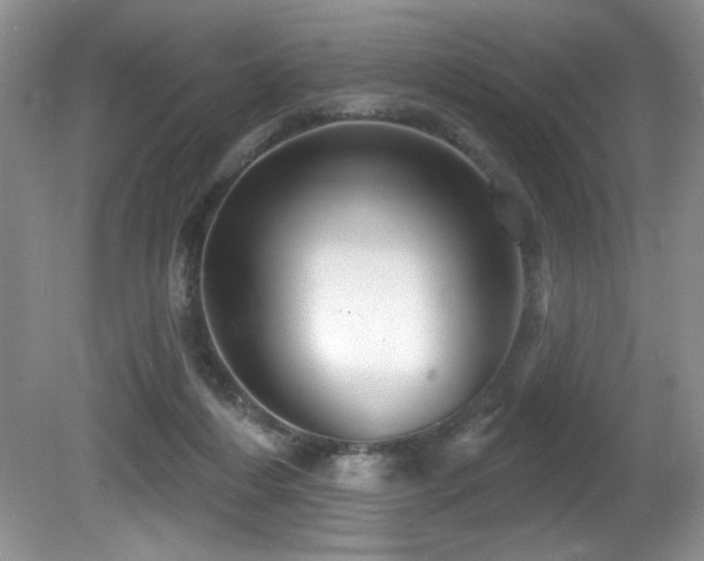 X0000081620216200701151440