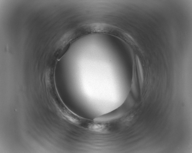 X0000081620217200701151440