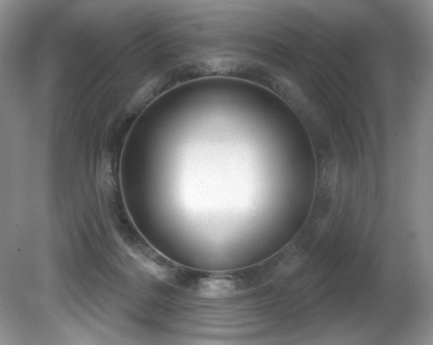 X0000081620220200701151440
