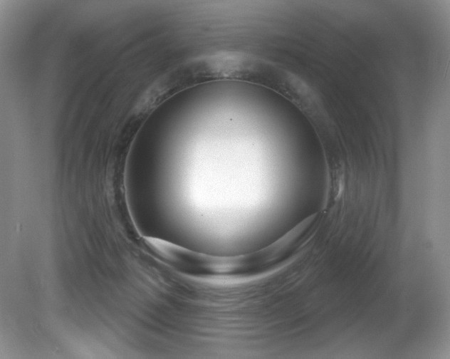 X0000081620221200701151440