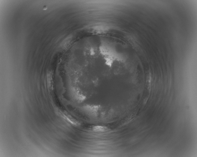 X0000081620222200701151440
