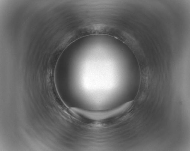 X0000081620225200701151440