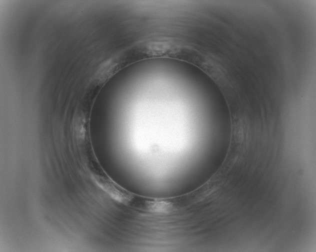 X0000081620226200701151440