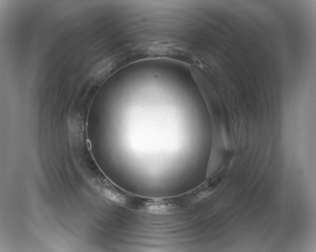 X0000081620228200701151440