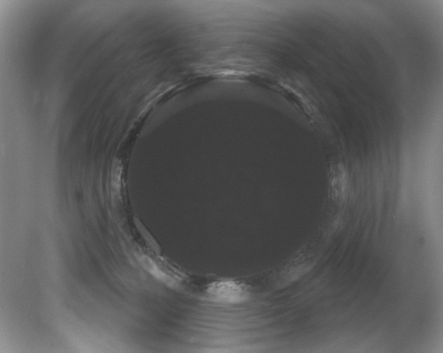 X0000081620231200701151440