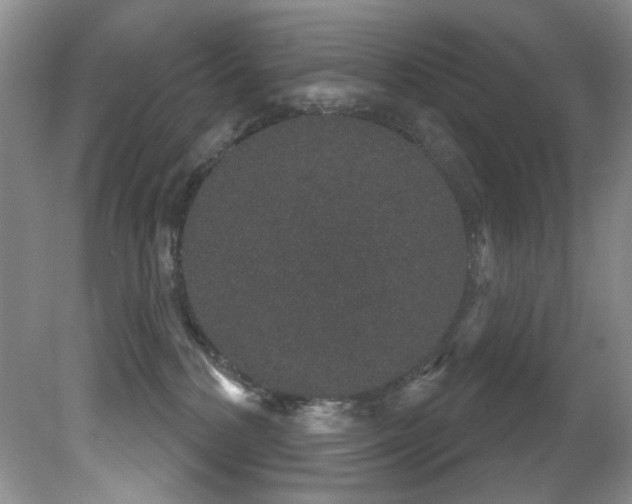 X0000081620232200701151440
