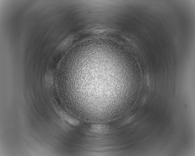 X0000081620234200701151440