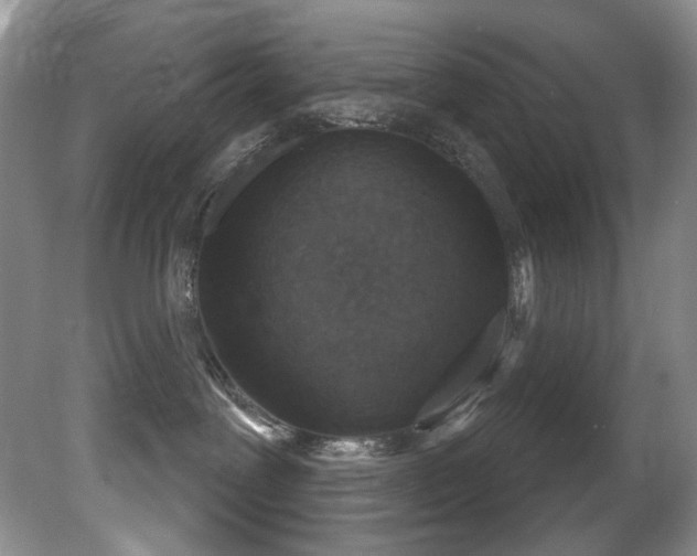 X0000081620239200701151439