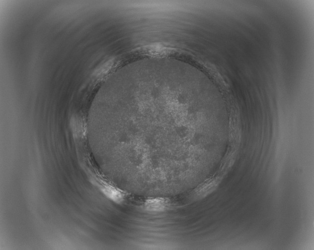 X0000081620240200701151439