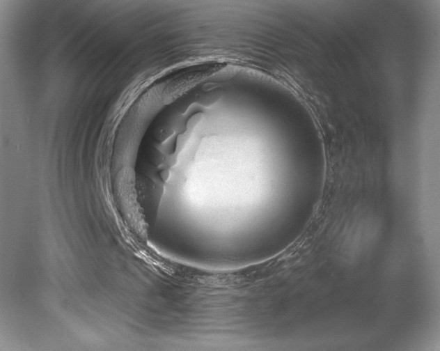 X0000081620241200701151439