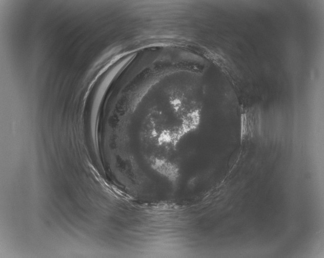 X0000081620243200701151439