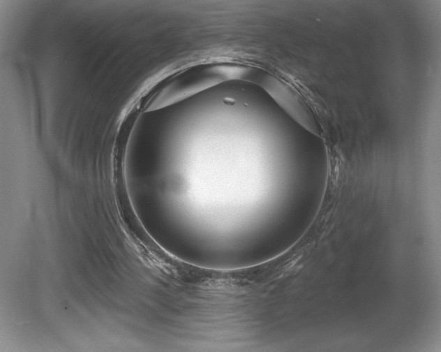 X0000081620244200701151439