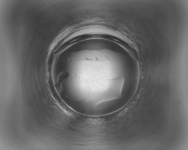 X0000081620245200701151439