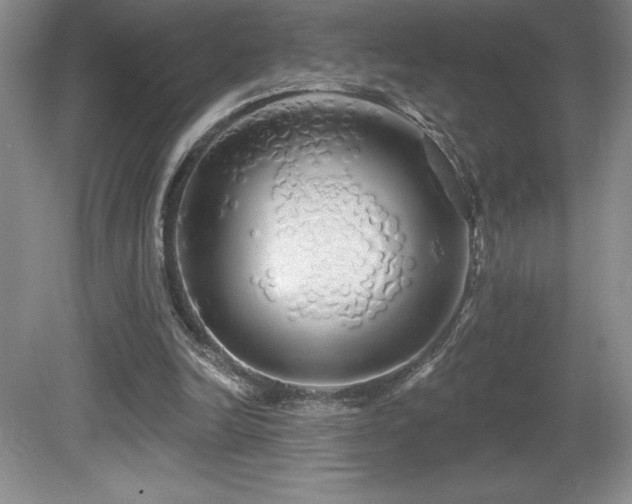 X0000081620246200701151439