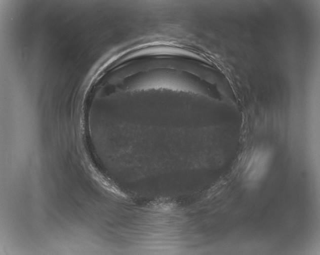 X0000081620247200701151439