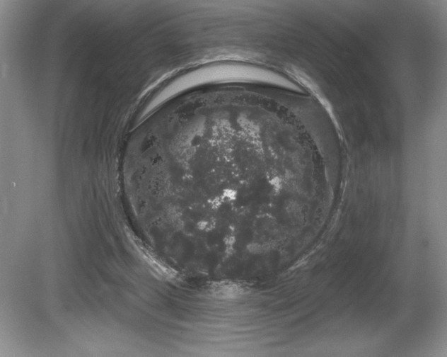 X0000081620249200701151439