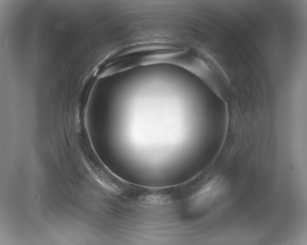 X0000081620251200701151439