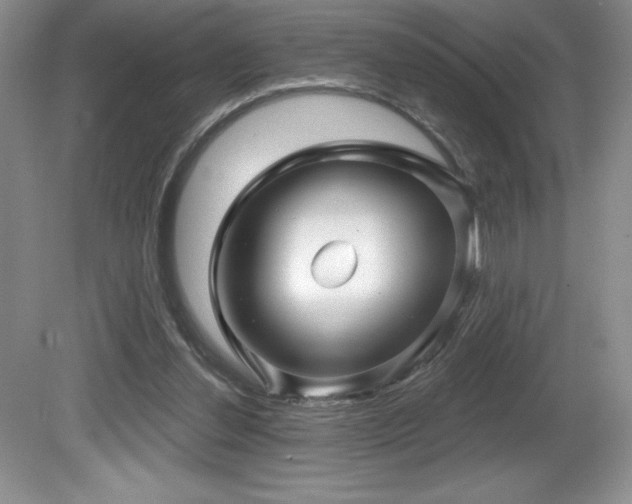 X0000081620252200701151439
