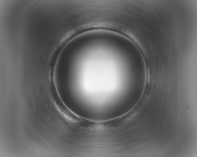 X0000081620253200701151439