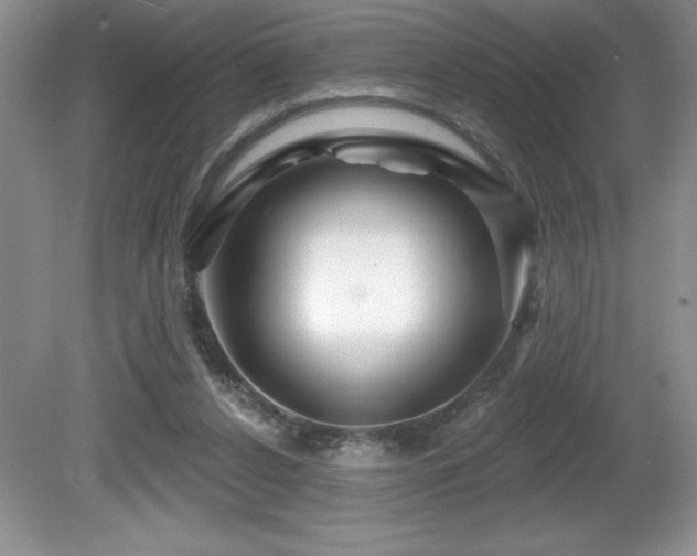 X0000081620256200701151439