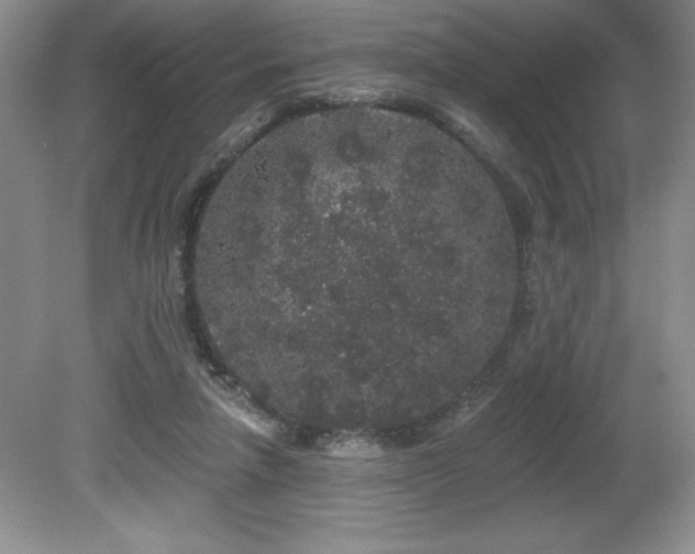 X0000081620258200701151439