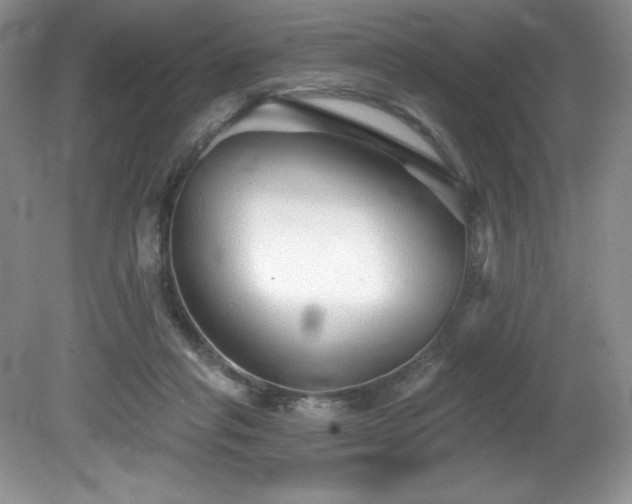 X0000081620261200701151439