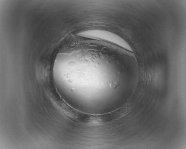 X0000081620263200701151439