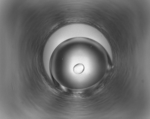 X0000081620264200701151439