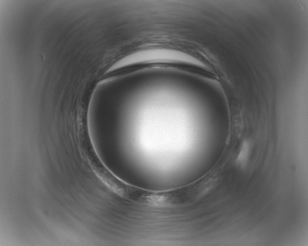 X0000081620265200701151439