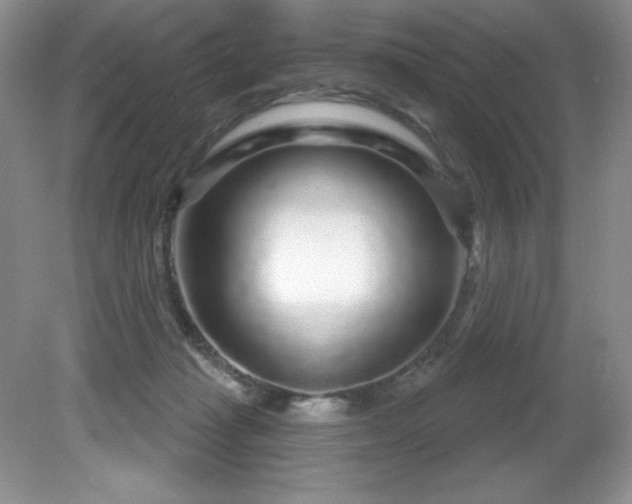 X0000081620269200701151439