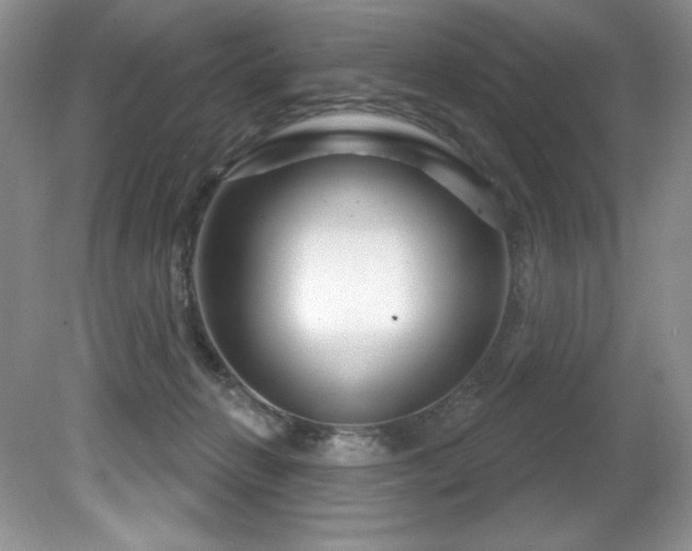 X0000081620270200701151439