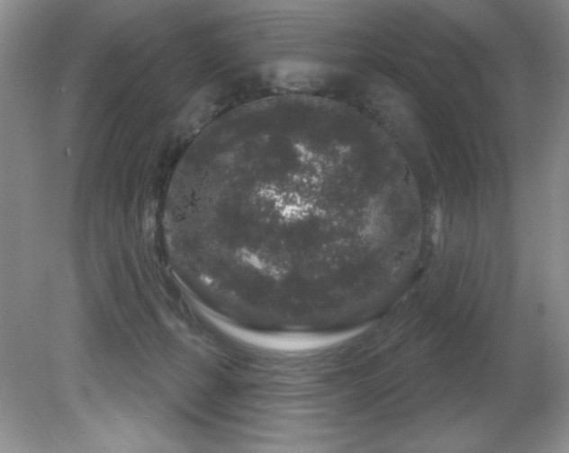 X0000081620271200701151439