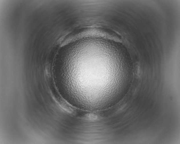 X0000081620272200701151439