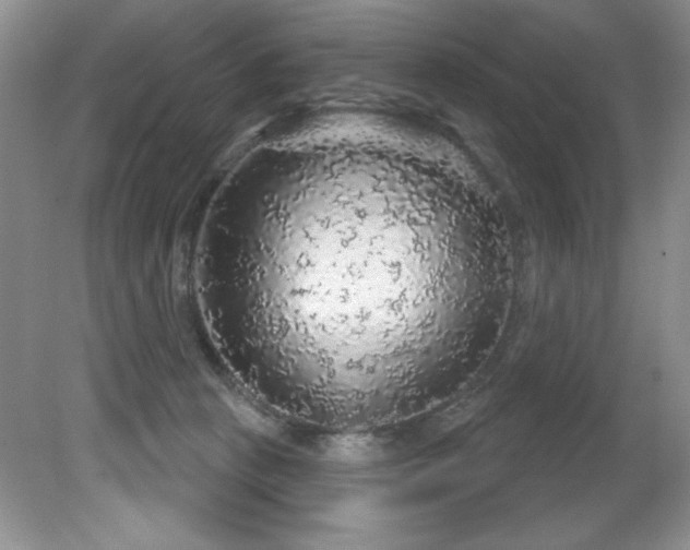 X0000081620273200701151439