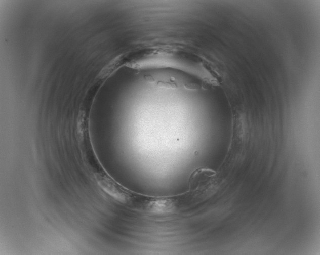 X0000081620275200701151439