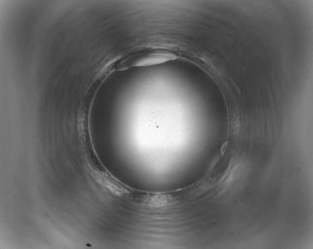 X0000081620282200701151439
