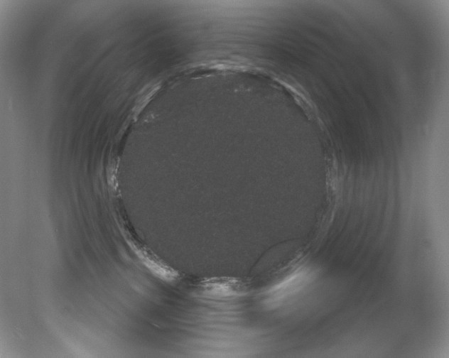 X0000081620285200701151439