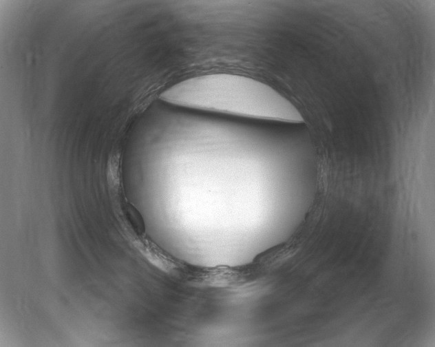 X0000081620286200701151439