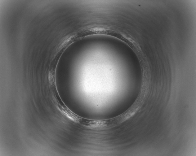 X0000081620288200701151439