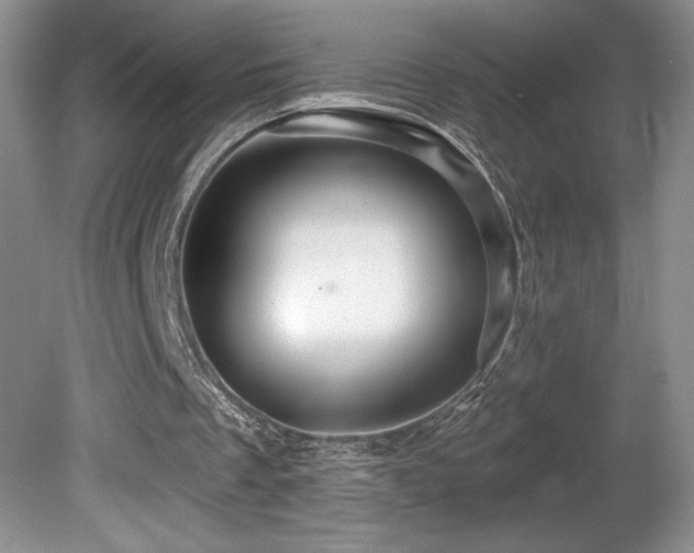 X0000081620289200701151439
