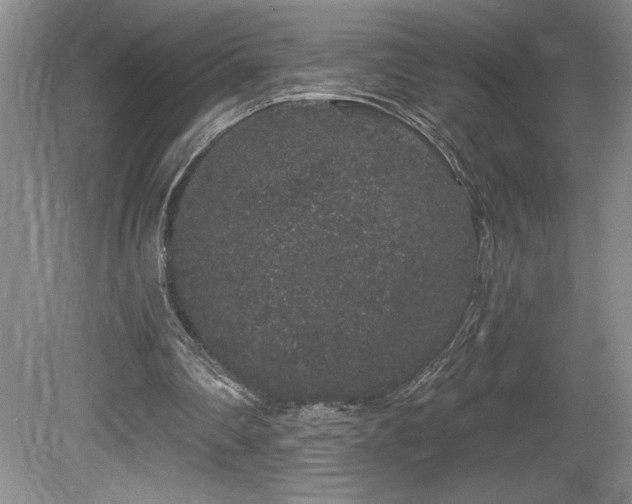 X0000081620290200701151439